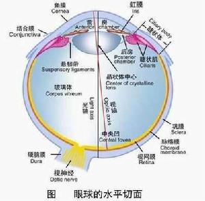 炎症相關性青光眼