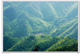 天湖山[泰和縣水槎鄉天湖山]