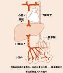 給藥途徑