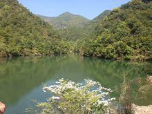 塘山村[浙江省寧波市寧海縣桑洲鎮下轄村]