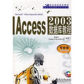 Access2003資料庫教程