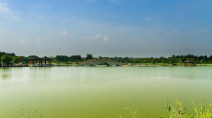 塘沽森林公園