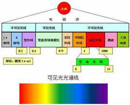 紅外線[波長介於微波與可見光之間的電磁波]