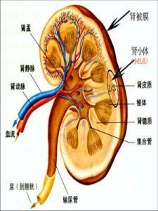 隱匿性腎炎