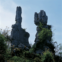 華鎣山風景區