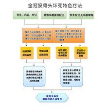 靶位體液滲透療法在股骨頭壞死治療上的套用