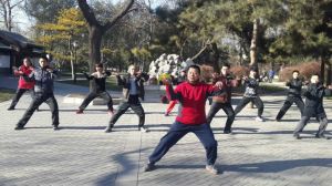 陶然亭公園教太極拳