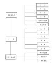 手指抓取機能與手指、被抓取物件的關係