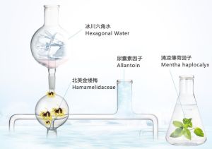 比度克控油調理液