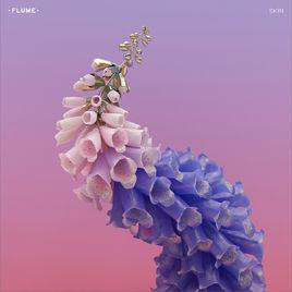 skin[Flume第二張錄音室專輯《Skin》]