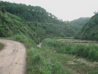 海轉村進村道路