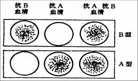 吸收放散試驗