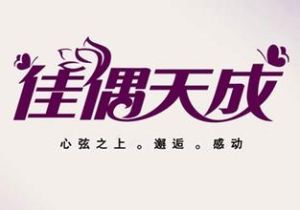 佳偶天成[1990年張國強、關詠荷主演電視劇]