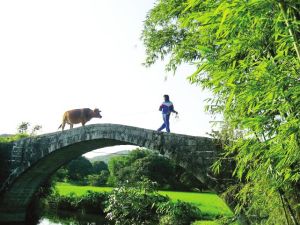 步雲橋[廣東增城市朱村鎮大崗村]