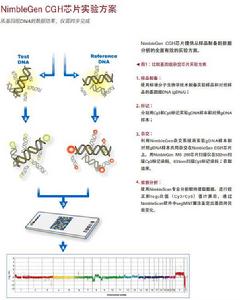 cgh[比較基因組雜交]