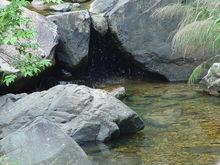 莆田大蜚山省級森林公園