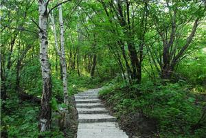 茅荊壩森林公園