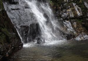 龍灣自然生態村