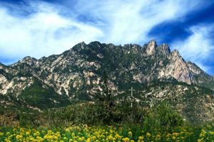 牙山國家森林公園