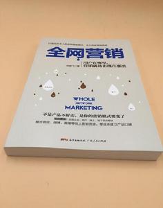 全網行銷：網際網路+時代行銷新思路