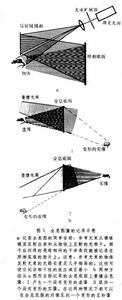 生物全息術