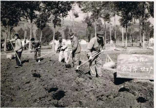 (1960年代的中國)