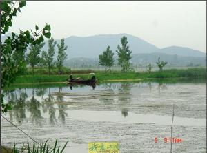 漢川白石湖傳說