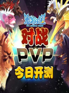 PVP[遊戲術語縮寫]