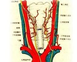 產後腺垂體功能減退症