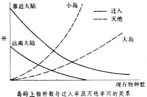 島嶼生態