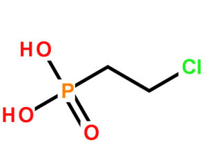 分子結構