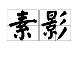 素影[詞語]