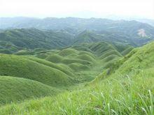 鹿背山夏季草場