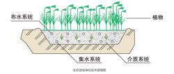 物理化學淨化