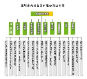 深圳市光明集團有限公司