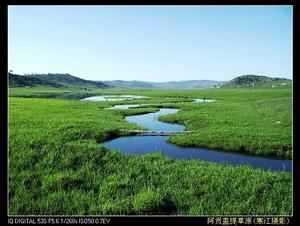 阿貢蓋提草原