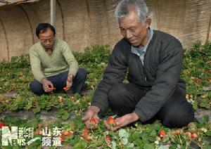 西水磨村