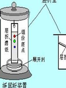 紙層析法