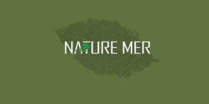 NATURE MER自然之謎