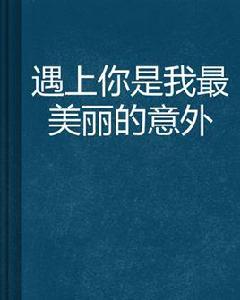 遇上你是我最美麗的意外