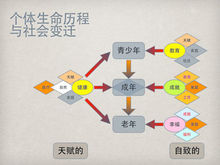 個體生命歷程與社會變遷