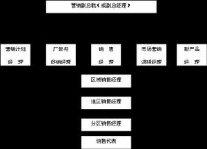 產品管理型組織