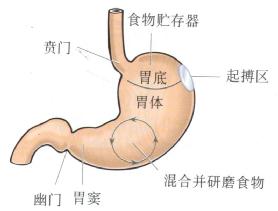 急性腸胃炎