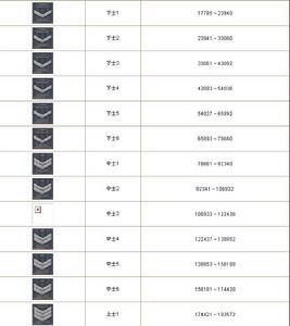 （圖）副士官軍銜1