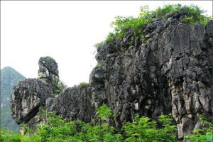 上海天馬山