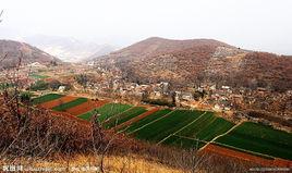 大山村[貴州省威寧縣迤那鎮大山村]