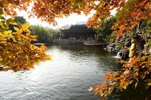 孔府花園