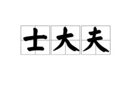 士大夫[詞語釋義]