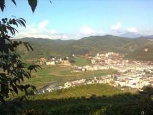 溪東村[福建省福安市城陽鎮溪東村]