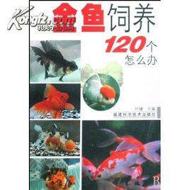 金魚飼養120個怎么辦